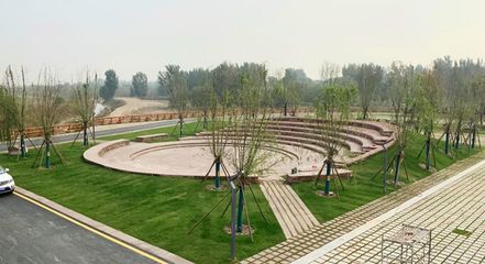 響應國家戰略 弘揚黃河文化|奧雅設計簽約鄭州黃河灘濕地公園EPC項目