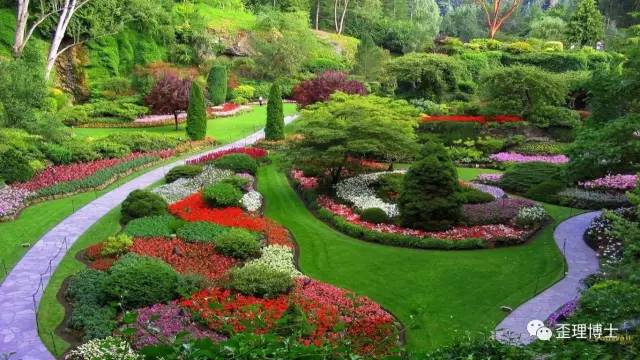 又來一波牛逼!200個景觀風(fēng)景園林專業(yè)英語詞匯(中英對照版)_文化_網(wǎng)