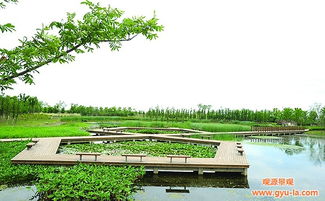 西安園林設(shè)計(jì) 陜西觀源景觀設(shè)計(jì) 西安園林設(shè)計(jì)理念